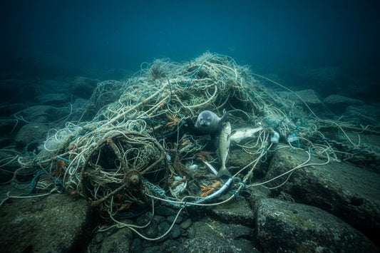 Tapt fiskeutstyr og spøkelsesgarn på havbunnen som fortsetter å fange fisk og skade marint liv
